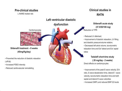 preserved left ventricular function.